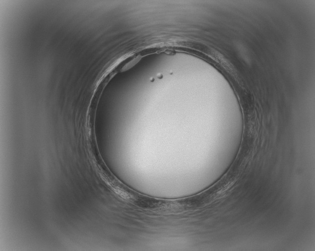 X0000062170885200512301642