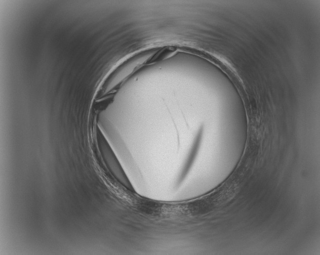 X0000062170887200512301642