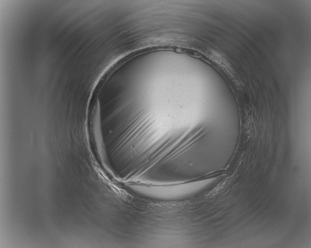 X0000062170888200512301642