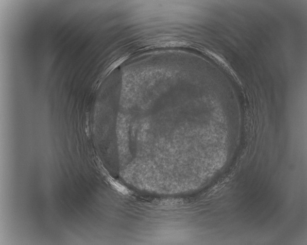 X0000062170889200512301642