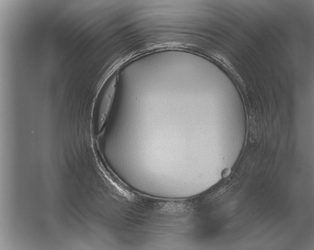 X0000062170890200512301642