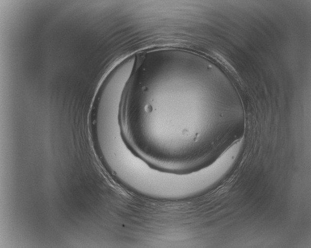 X0000062170891200512301642