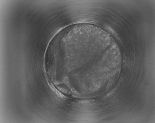 X0000062170892200512301642