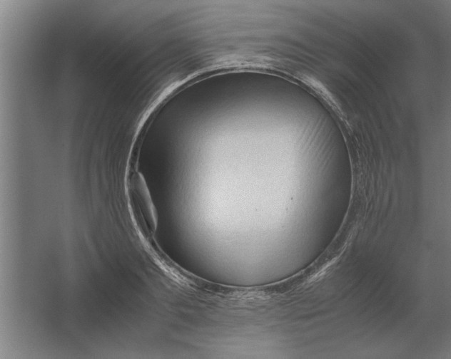 X0000062170893200512301642