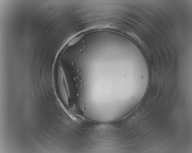 X0000062170894200512301642