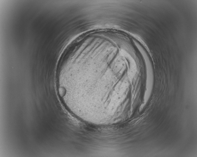 X0000062170895200512301642