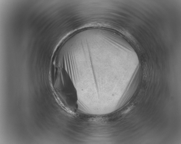 X0000062170896200512301642