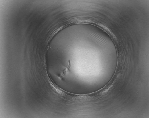 X0000062170897200512301642