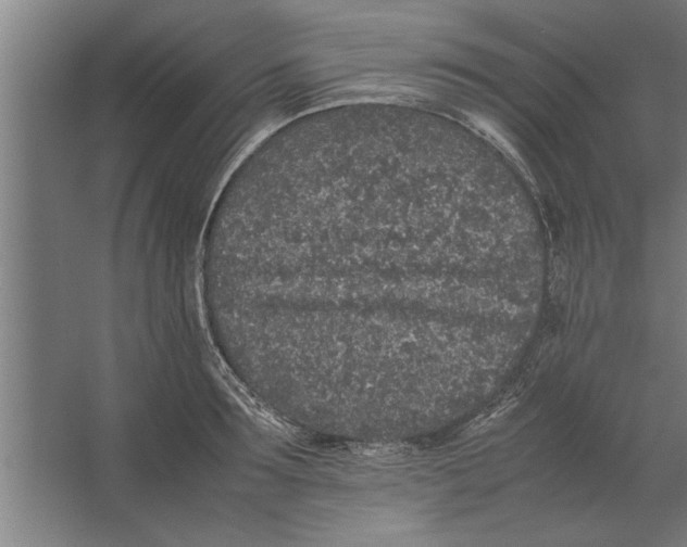 X0000062170899200512301642