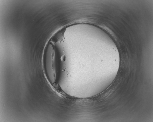 X0000062170902200512301642