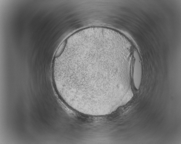 X0000062170903200512301642