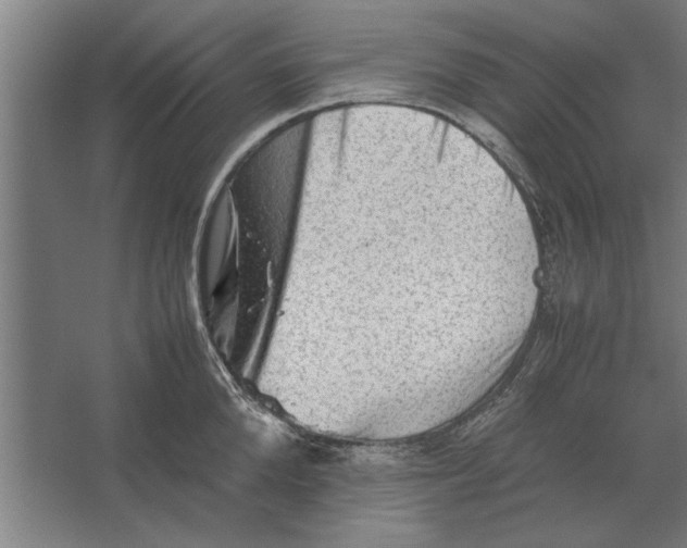 X0000062170904200512301642