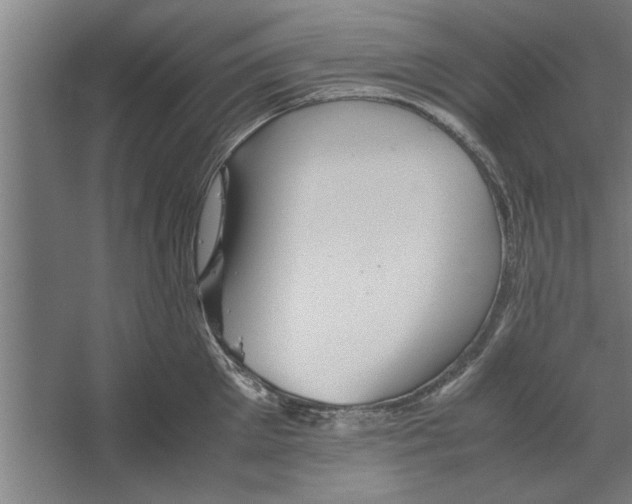 X0000062170905200512301642