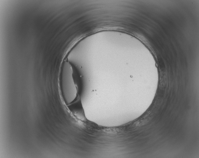 X0000062170906200512301642