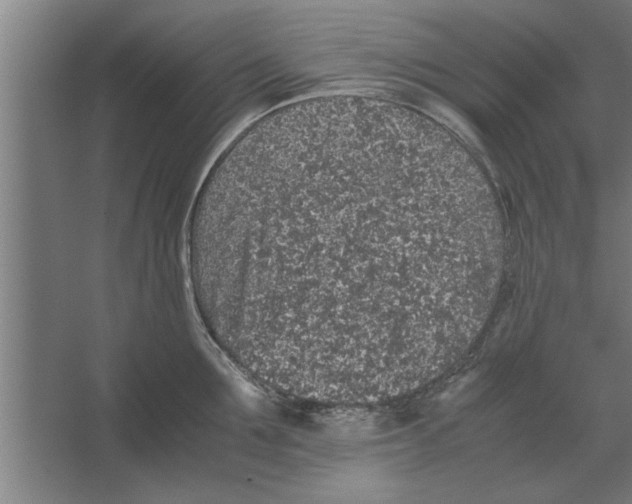 X0000062170907200512301642