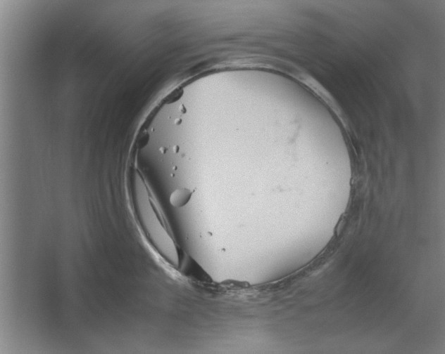 X0000062170909200512301642