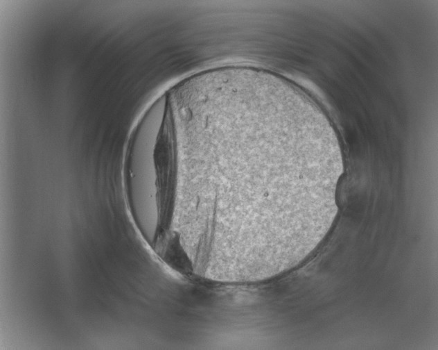 X0000062170910200512301642