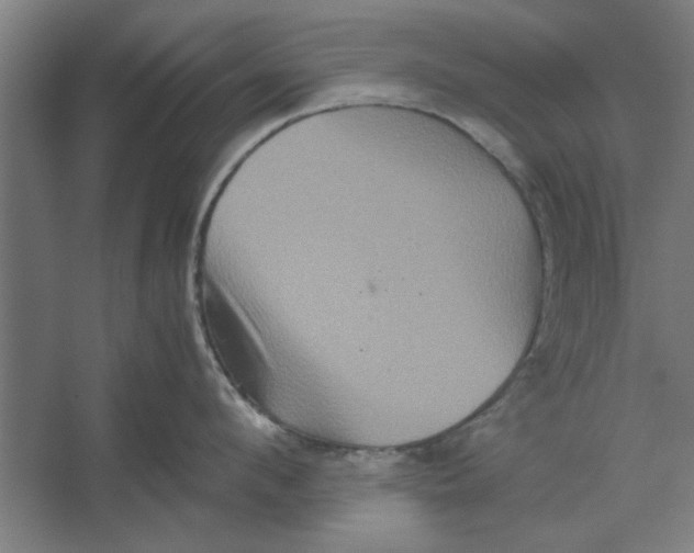 X0000062170912200512301642