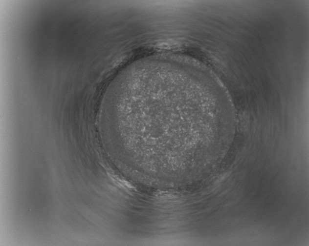 X0000062170913200512301641