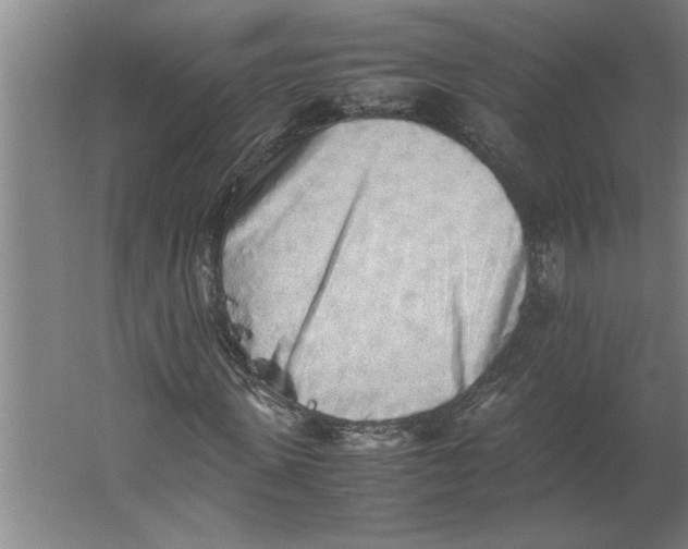 X0000062170915200512301641