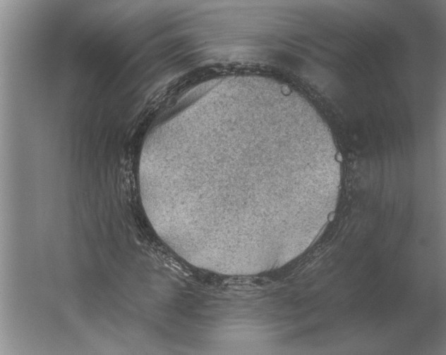 X0000062170918200512301641