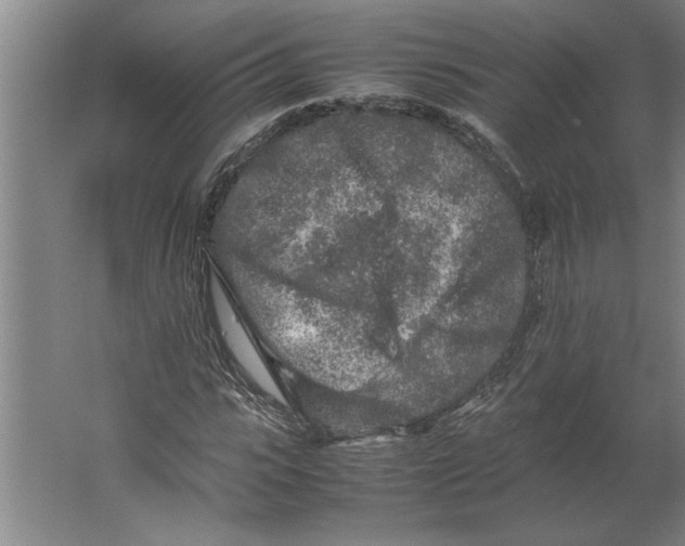 X0000062170919200512301641