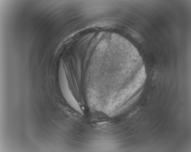 X0000062170920200512301641