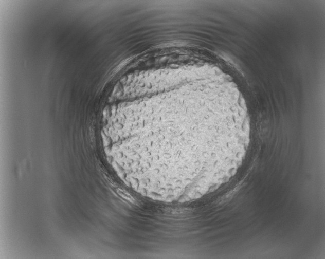 X0000062170921200512301641