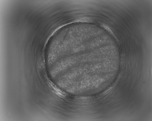 X0000062170923200512301641