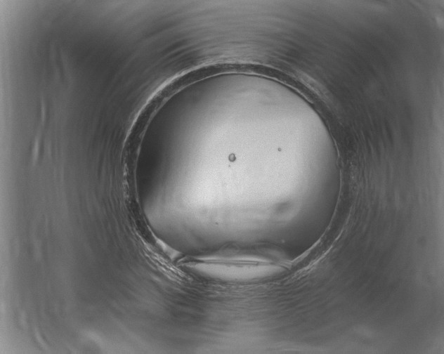 X0000062170926200512301641