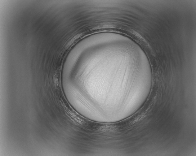 X0000062170929200512301641