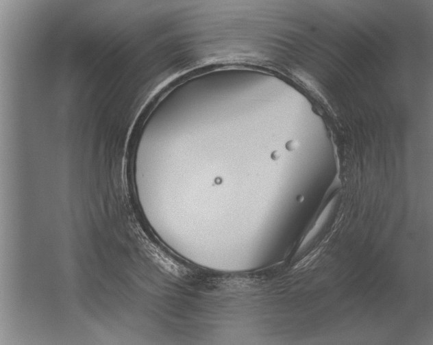 X0000062170932200512301641