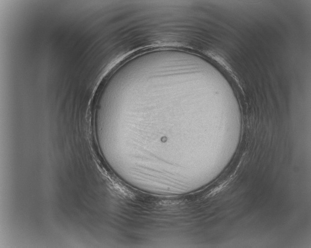 X0000062170933200512301641