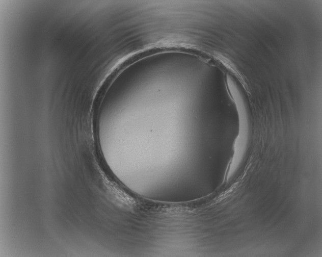 X0000062170934200512301641