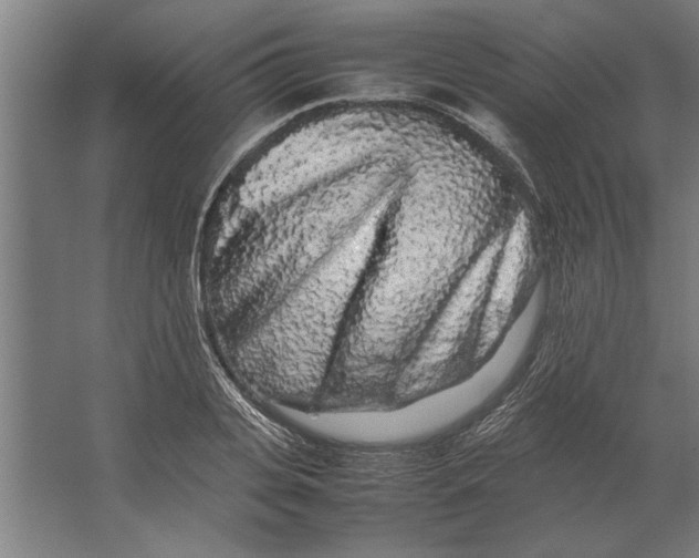 X0000062170935200512301641