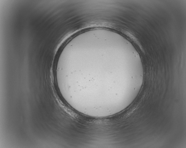 X0000062170936200512301641