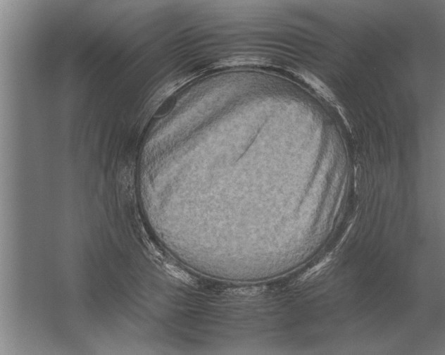 X0000062170937200512301641