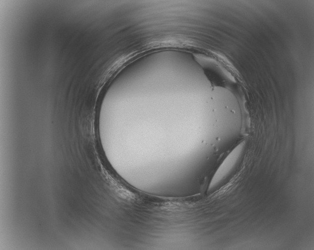 X0000062170938200512301641