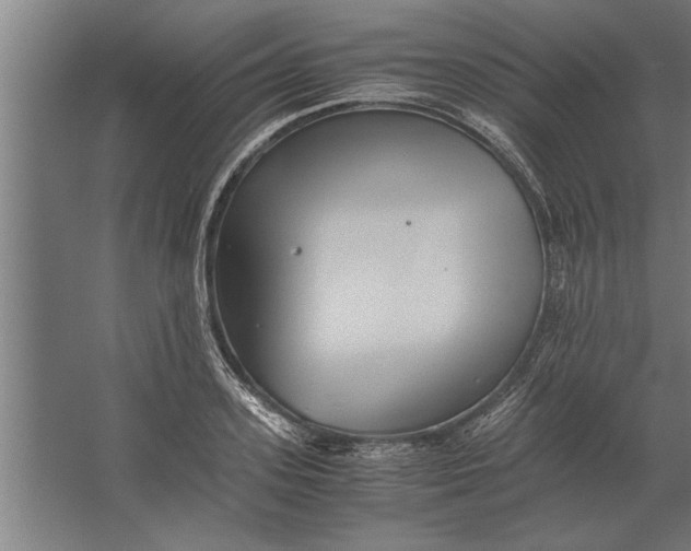 X0000062170939200512301641