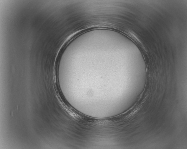 X0000062170940200512301641