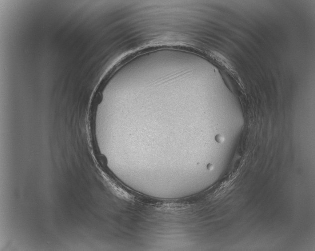 X0000062170942200512301641