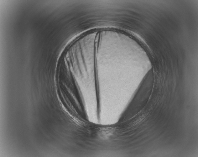 X0000062170943200512301642