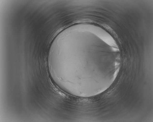 X0000062170945200512301642