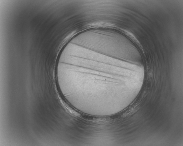 X0000062170946200512301642