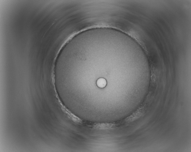 X0000062170950200512301642