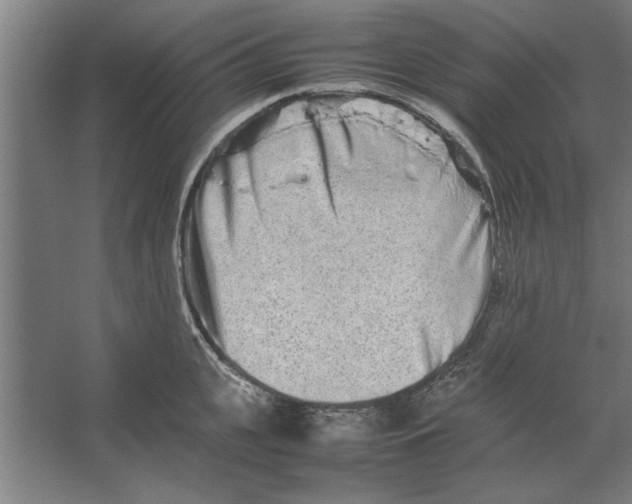 X0000062170951200512301642