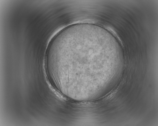 X0000062170952200512301642