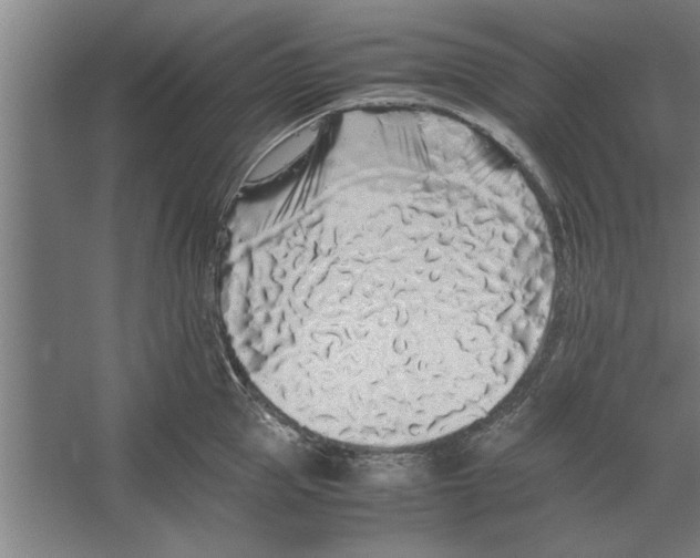 X0000062170953200512301642