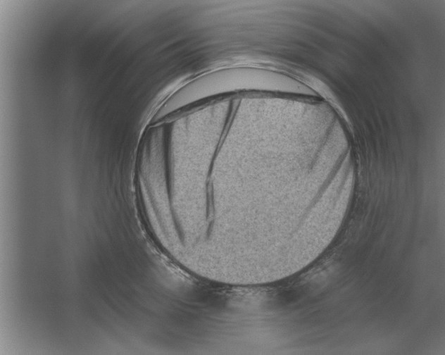 X0000062170954200512301642