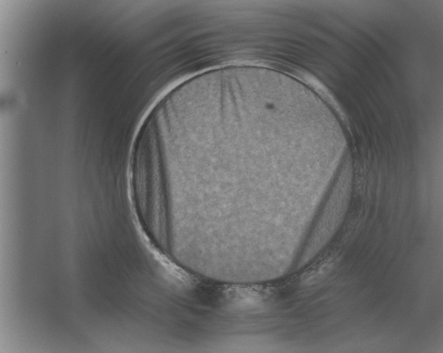 X0000062170955200512301642